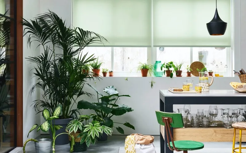 Inspiratiefoto met botanisch groen