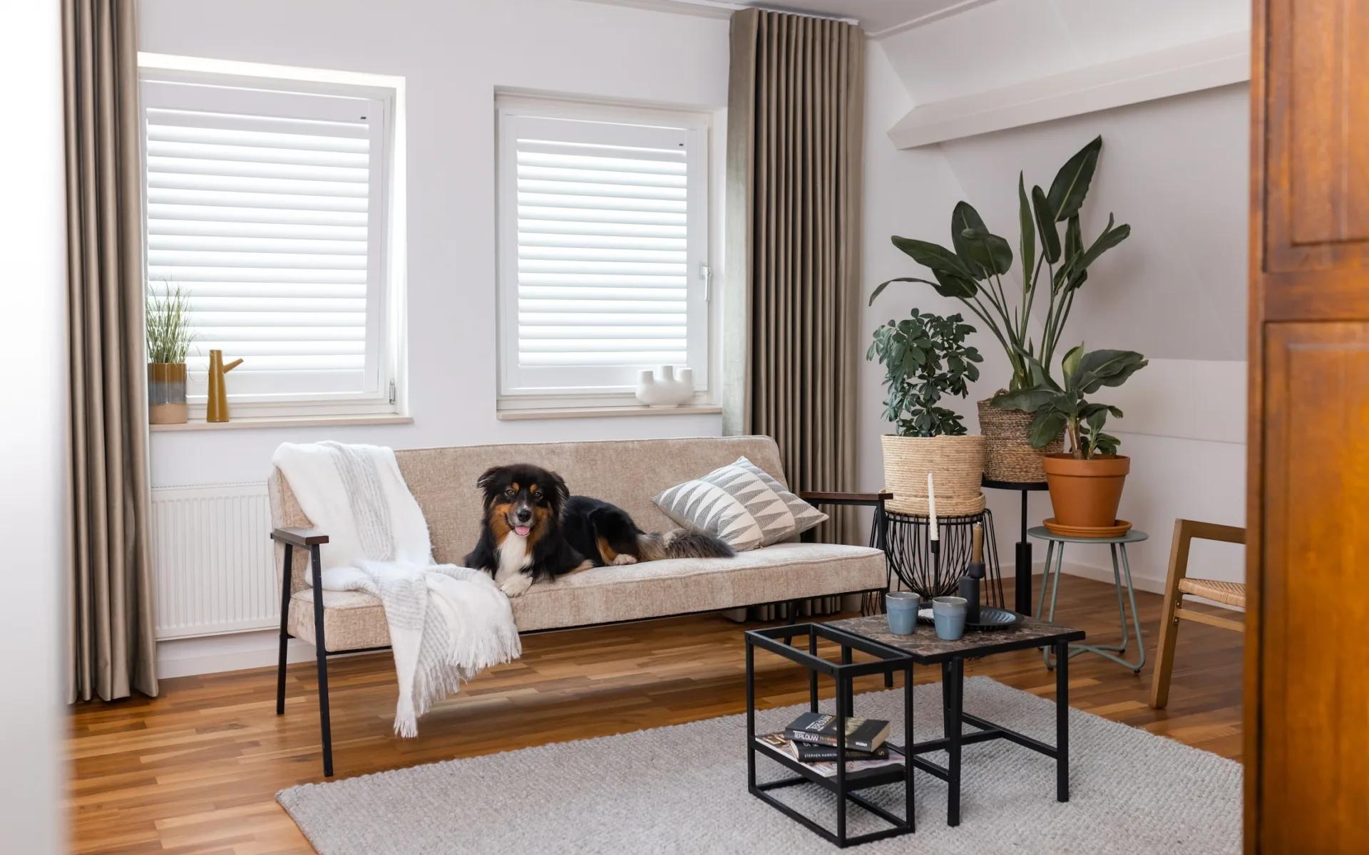 Woonkamer met houten vloer, beige bank en gordijnen en witte shutters, hond op de bank.