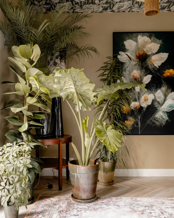 Exotische woonstijl met planten