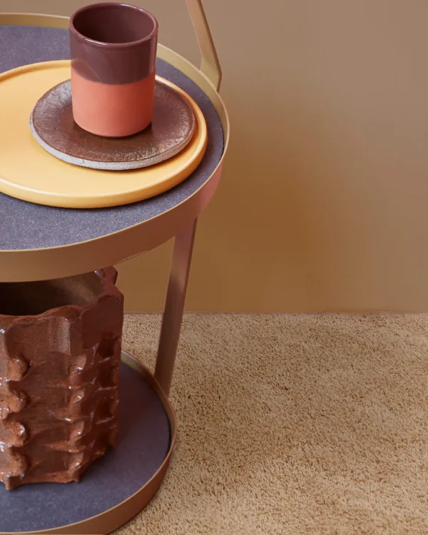 Tapijt van Desso bij Aanhuis