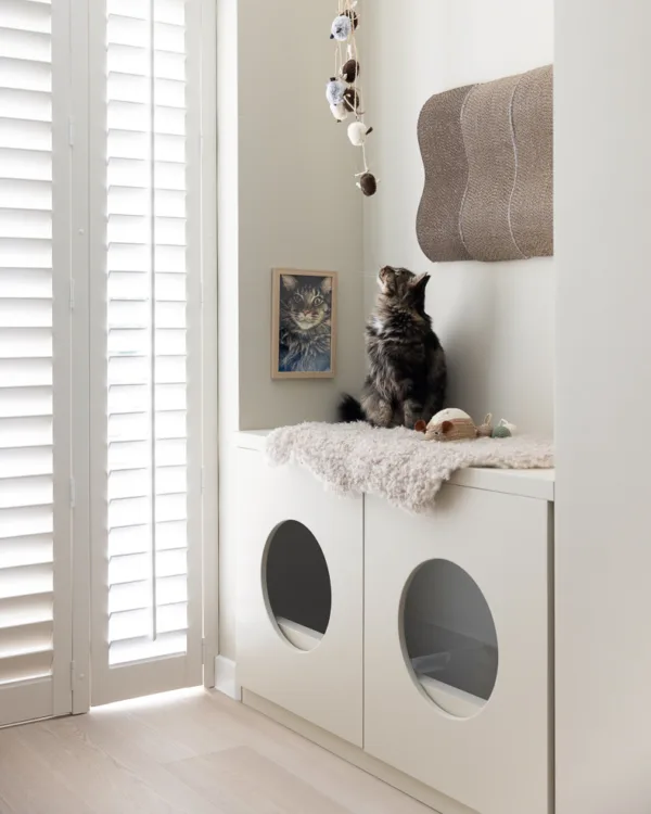 Vinylvloeren zijn krasbestendig en geschikt voor gezinnen en huisdieren.