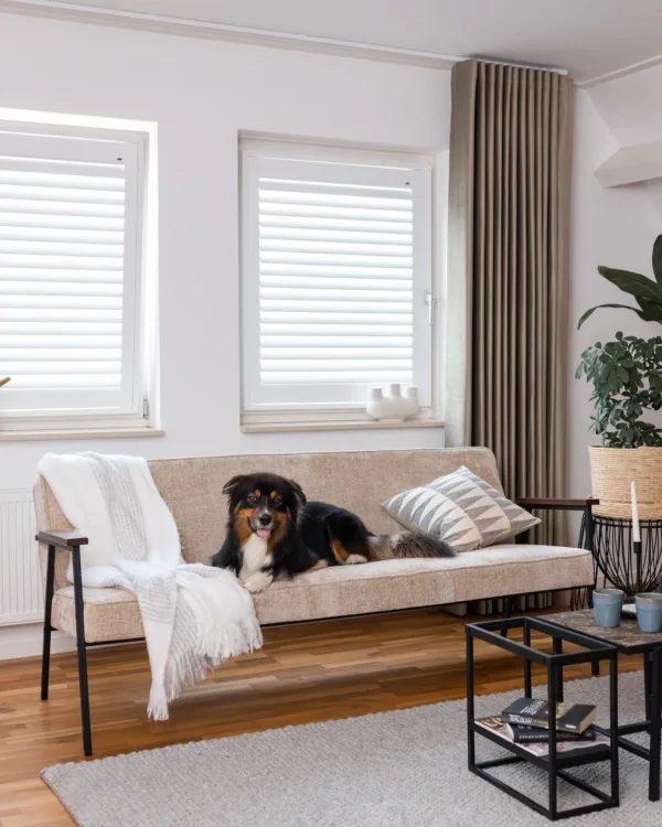 Woonkamer met houten vloer, beige bank en gordijnen en witte shutters, hond op de bank.